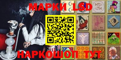 шишки Изобильный