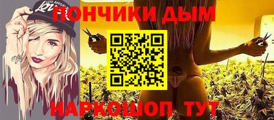 шишки Изобильный