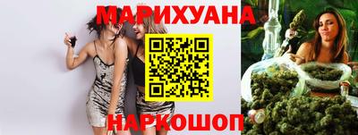 шишки Изобильный