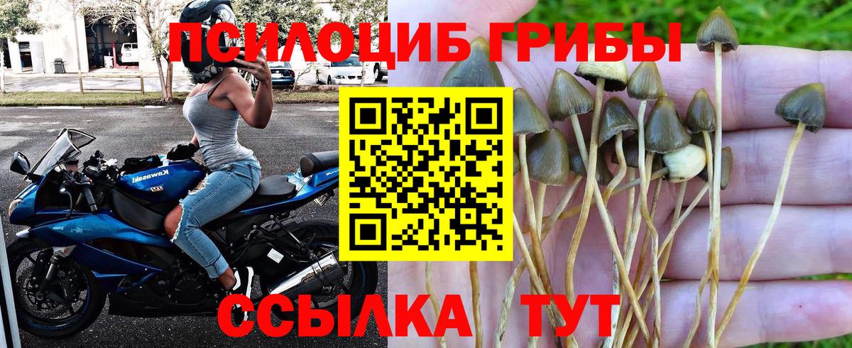 Псилоцибиновые грибы мухоморы Заволжье