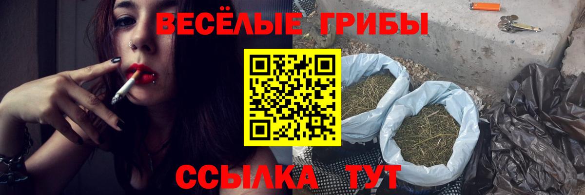 Заволжье  Псилоцибиновые грибы мухоморы  Вход с VPN 